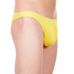 Yellow Null Brief